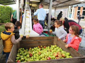 Kinder und Erwachsene sammeln Äpfel auf einem Obstmarkt, während sie in einem Holzkasten mit frischen Äpfeln stehen. Im Hintergrund sind weitere Personen und eine Verkaufsstelle sichtbar.