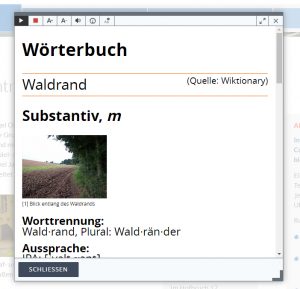Ein Wald mit vielen Bäumen.