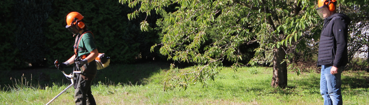 Ein Landschaftsgärtner mit Schutzhelm und Motorsense arbeitet in einem grünen Garten mit Bäumen und hohem Gras.