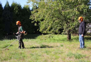 Ein Landschaftsgärtner mit Schutzhelm und Motorsense arbeitet in einem grünen Garten mit Bäumen und hohem Gras.