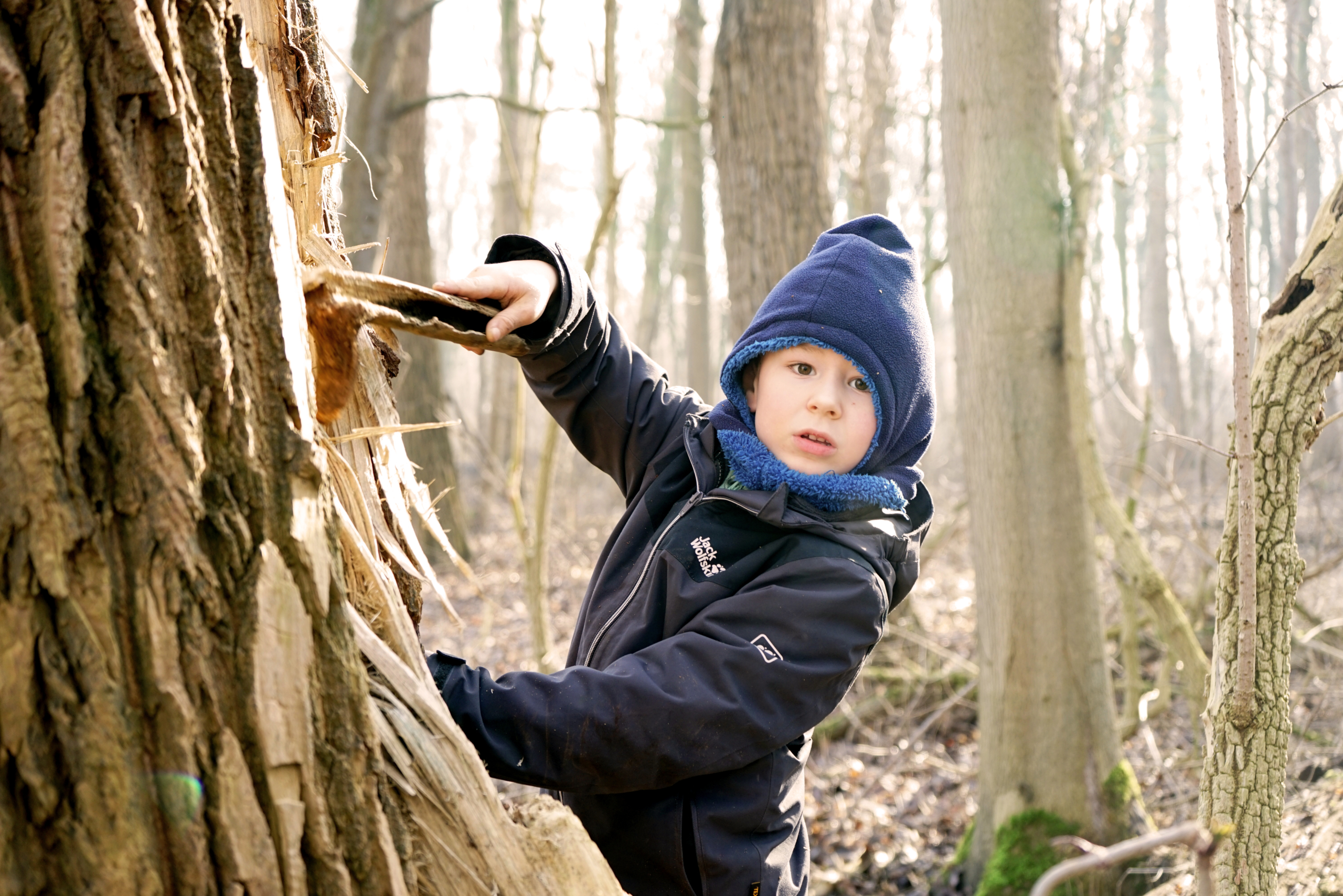 Ein Junge steht im Wald und hält einen Stock. Er trägt eine Mütze und eine Jacke.