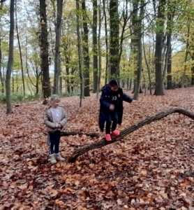 Zwei Kinder spielen im Wald auf einem Baumstamm, umgeben von buntem Herbstlaub und grünen Bäumen.