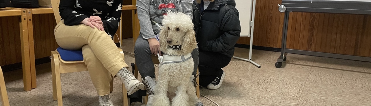 Drei Frauen sitzen mit einem Hund in einem Seminarraum. Vor ihnen liegen bunte Buchstabenkarten. Der Hund, ein Pudel, sitzt aufmerksam in der Mitte.
