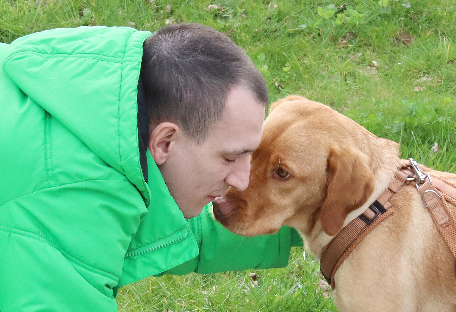 Mann in grüner Jacke, der sich liebevoll mit einem Labrador-Hund beschäftigt, während sie auf einer Wiese spielen.