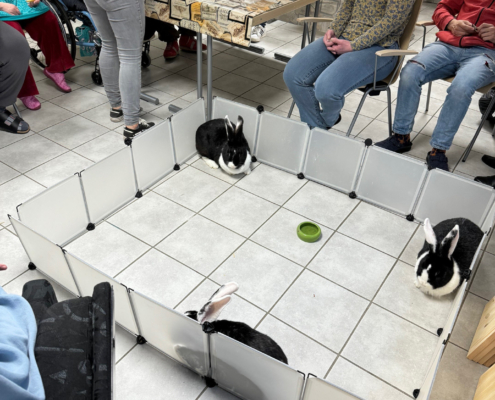 Drei Hasen sitzen in einem Stall, der im Wohnzimmer der Wohnstätte aufgebaut ist. Die BEwohner sitzen daneben.