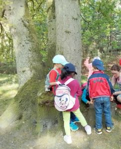 Gruppe von Kindern, die an einem Baum im Wald spielen und erkunden, während sie sich in der Natur befinden.