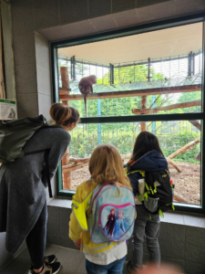 Zwei Kinder und eine Erwachsene stehen vor einem großen Fenster und beobachten einen Affen, der auf einem Klettergerüst spielt. Die Szene spielt sich in einem Zoo oder Tierpark ab, umgeben von grüner Natur.
