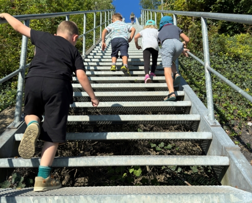 Kinder und Erwachsene steigen eine Metalltreppe in der Natur hinauf, umgeben von Bäumen und blauem Himmel.
