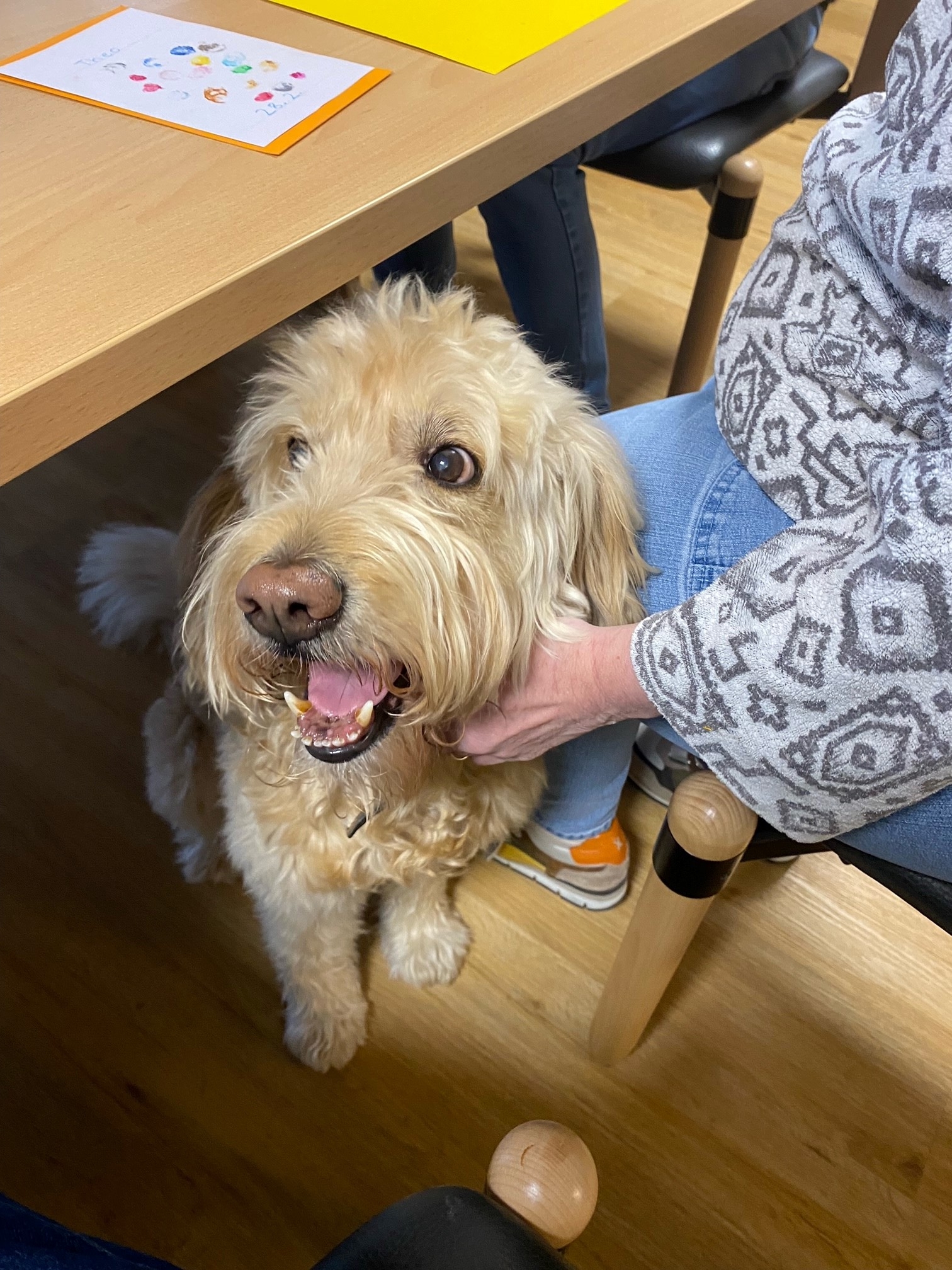 Hundefreund mit fröhlichem Gesicht, der unter einem Tisch sitzt und von einer Person gestreichelt wird.