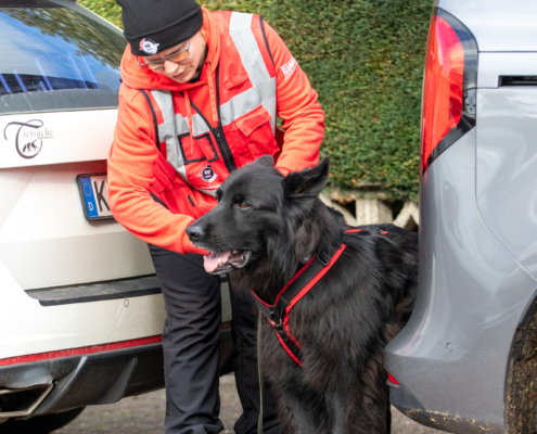 Ein Mann hält einen Hund an einem roten Auto fest. Der Hund trägt einen grauen Geschirr.
