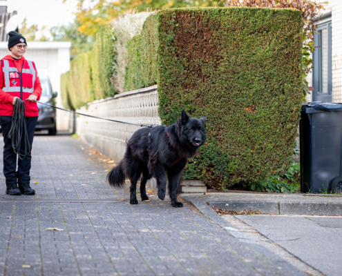 Ein Mann mit Hund auf einem Gehweg. Der Mann hat eine rote Jacke an. Der Hund ist schwarz und hat einen roten Halsband.