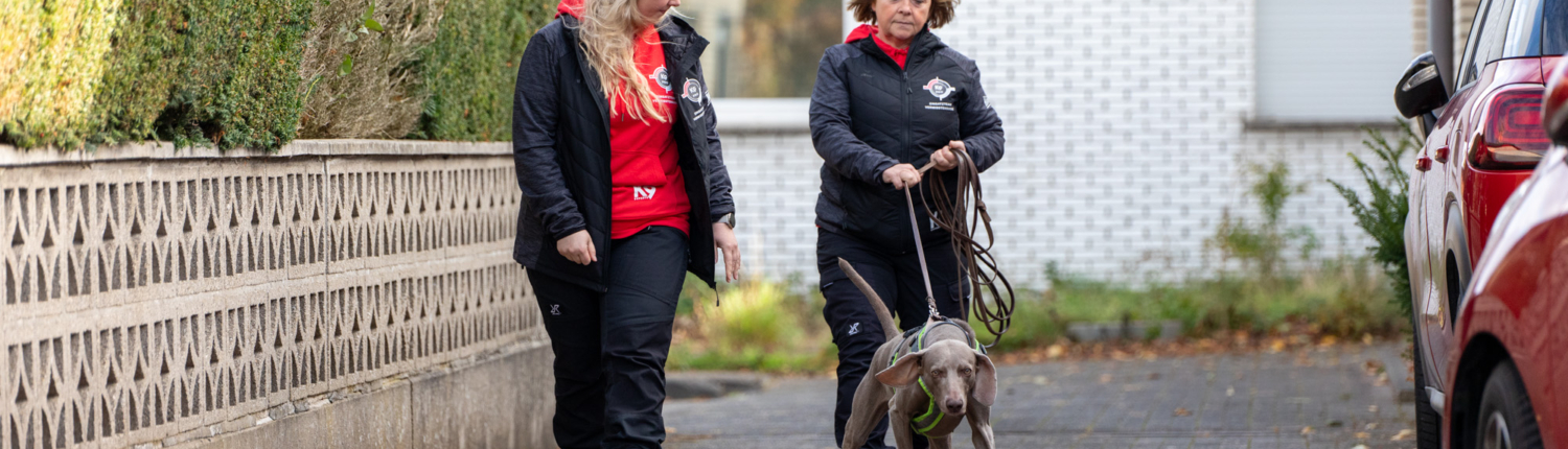 Eine Frau geht mit ihrem Hund spazieren. Sie tragen beides Sportkleidung. Der Hund ist an einer Leine.
