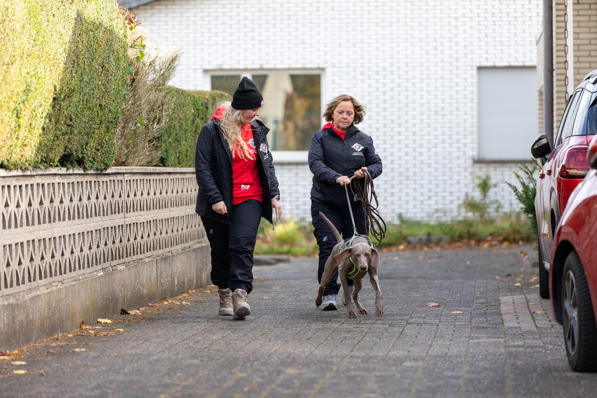 Eine Frau geht mit ihrem Hund spazieren. Sie tragen beides Sportkleidung. Der Hund ist an einer Leine.