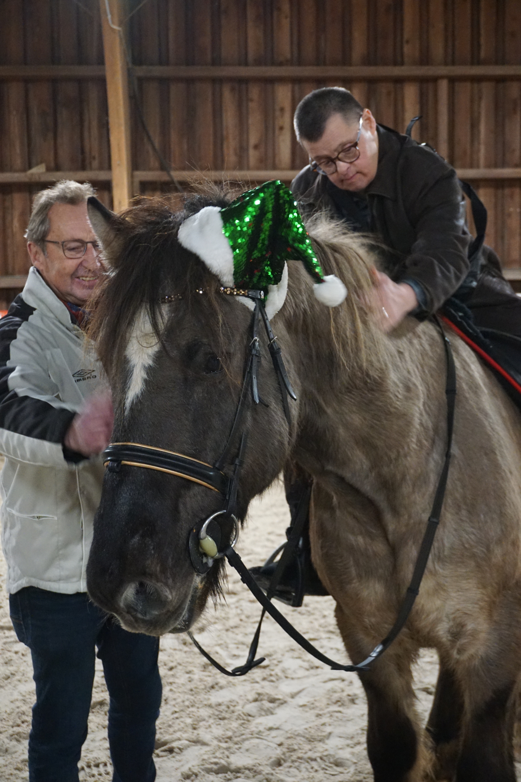 Ein Mann sitzt auf einem Pferd. Er trägt eine Mütze. Das Pferd hat einen Zaumzeug an.